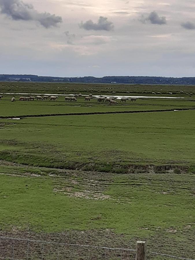 Les Obiones, Vue Laterale Mer, Fort Mahon Plage, Magnifique Studio Cabine 4P, Avec Balcon , Parking Prive Gratuit, Wifi, Classe 2 Etoiles, Exposition Plein Sud En Baie De Somme Dış mekan fotoğraf
