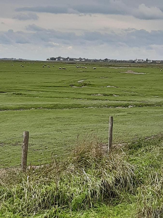 Les Obiones, Vue Laterale Mer, Fort Mahon Plage, Magnifique Studio Cabine 4P, Avec Balcon , Parking Prive Gratuit, Wifi, Classe 2 Etoiles, Exposition Plein Sud En Baie De Somme Dış mekan fotoğraf